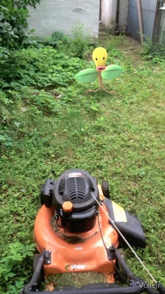 Pokémon Go social media spread and augmented reality screenshots